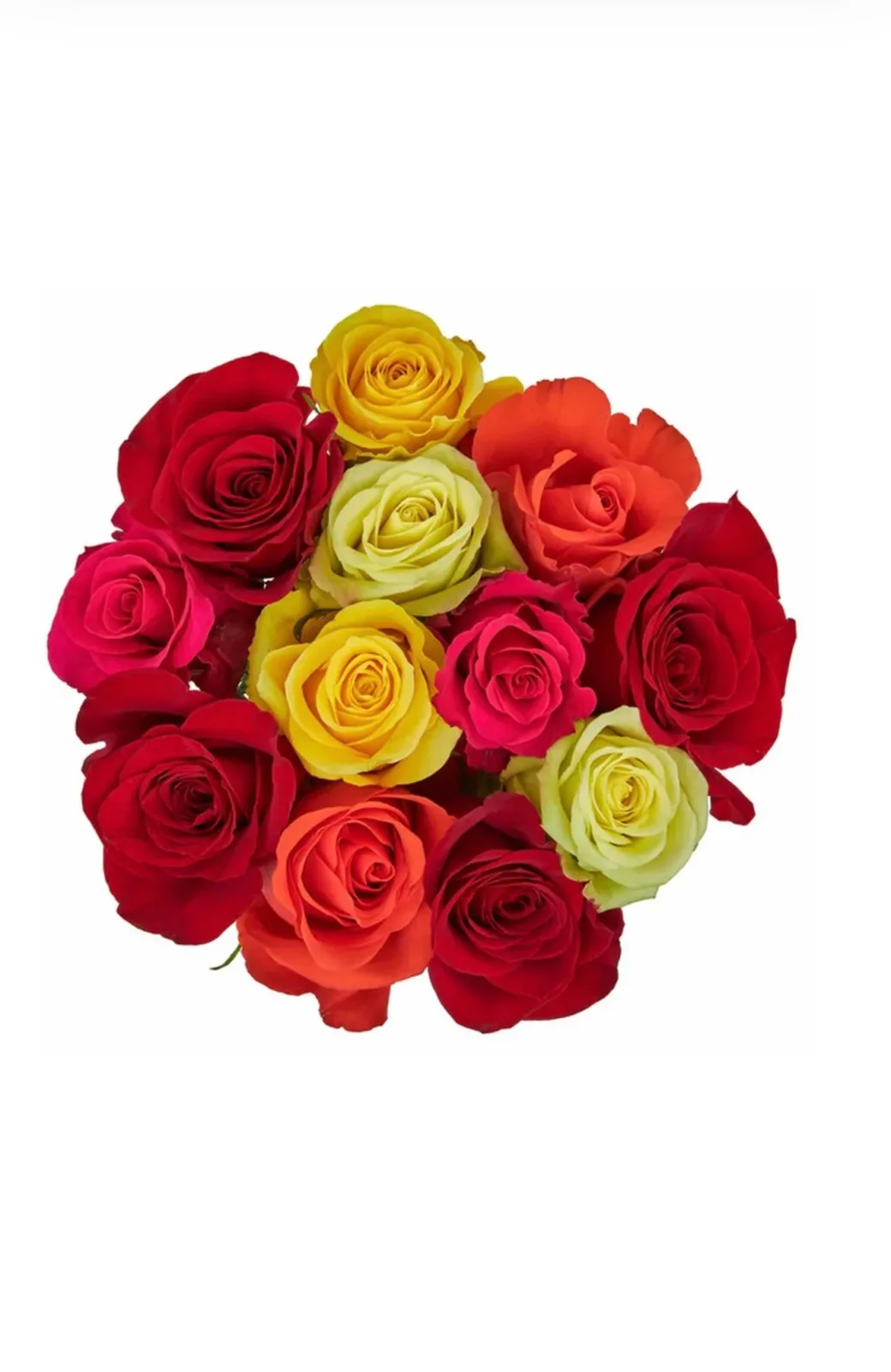 Fresh-Cut Roses Flower Bunch - Rainbow (same day delivery)