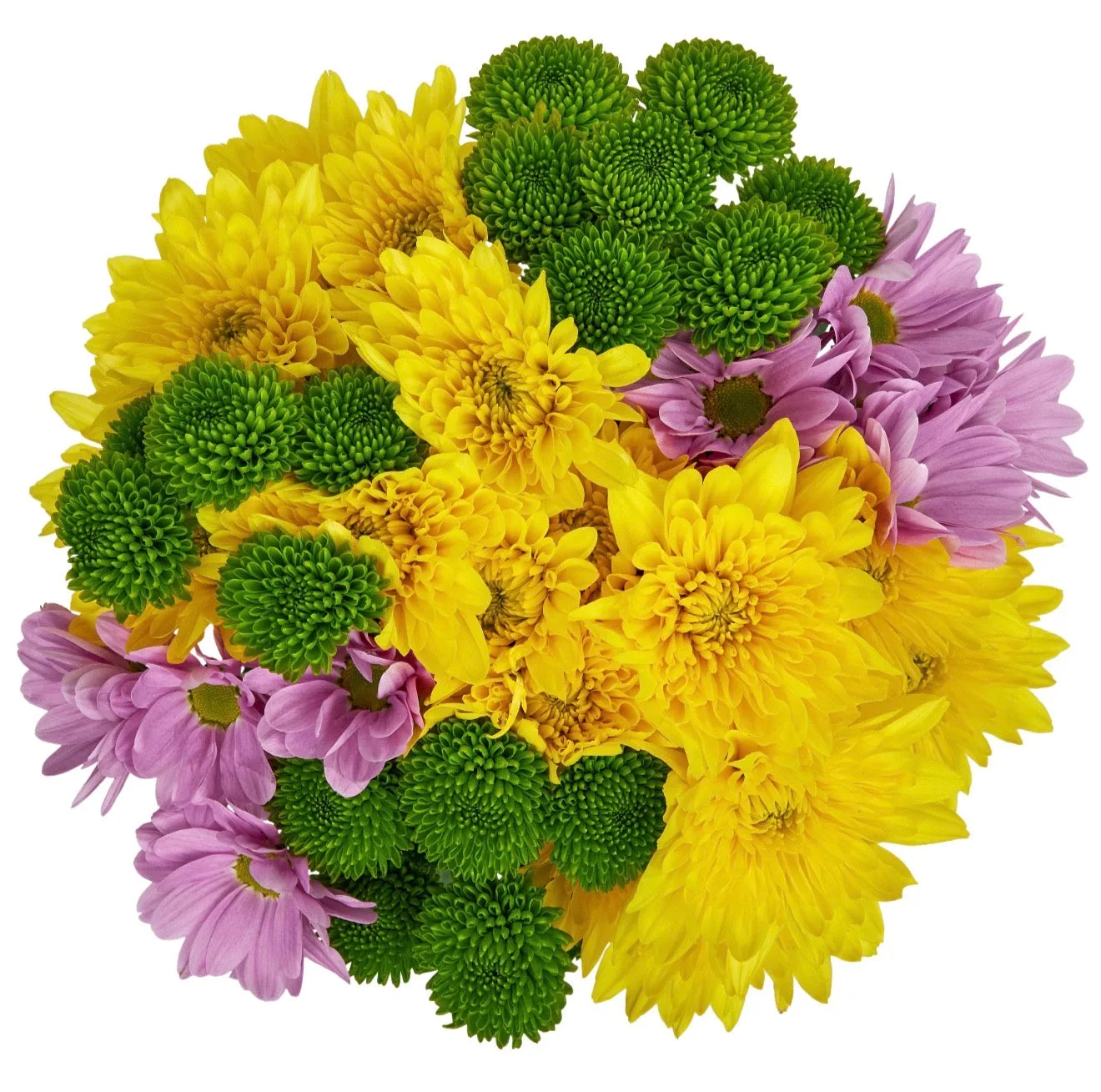 Fresh-Cut Small Rainbow Flower ( 7 Stems ) ( Same Day Delivery Usa )
