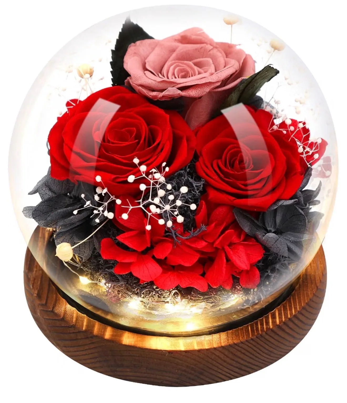 Preserved Flower Rose in Glass Dome with LED Light(red)( Usa Express )