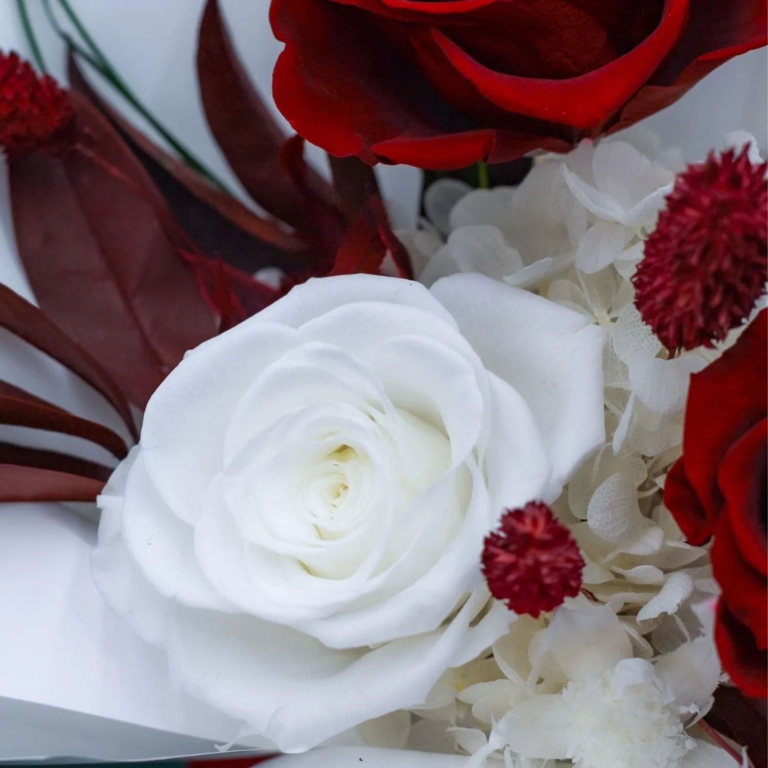 Preserved Flowers Bouquet ( Usa Express )